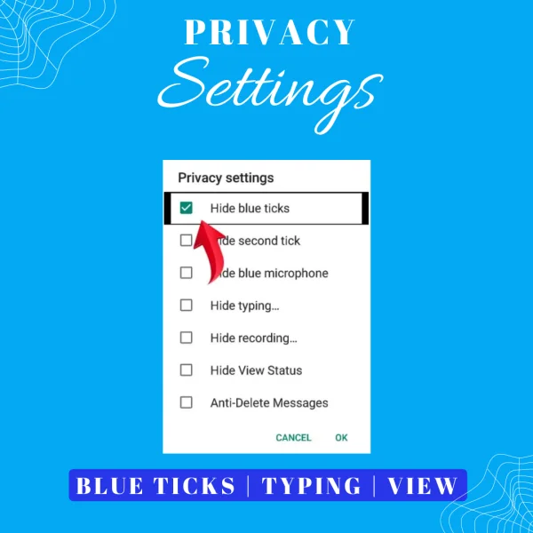 YoWhatsApp Privacy Features